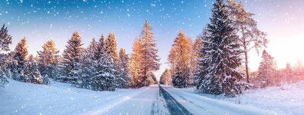 istock Beautiful winter road in natural sunny park. 1729503641