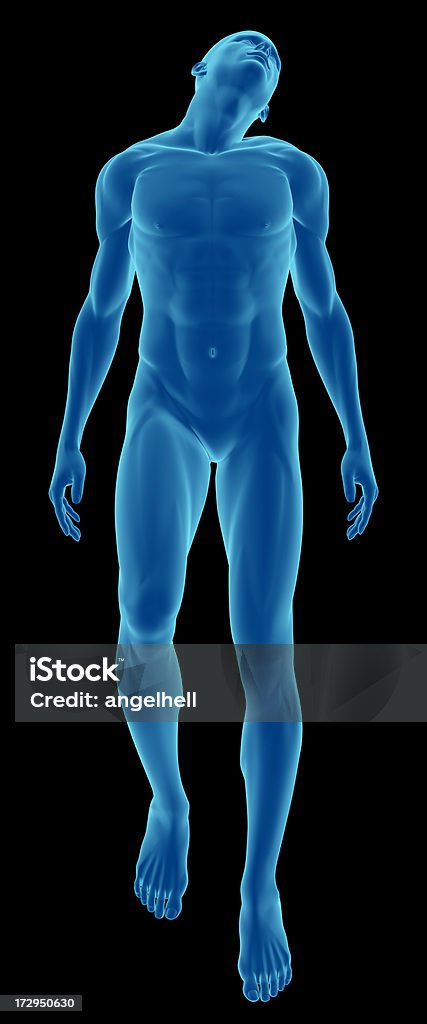 Corpo umano di un uomo mobile per lo studio - Foto stock royalty-free di Addome