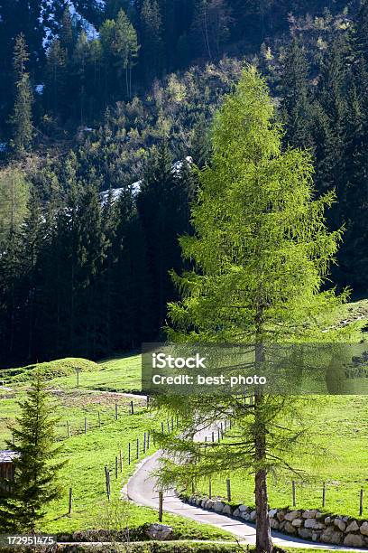 Droga W Górach - zdjęcia stockowe i więcej obrazów Austria - Austria, Bez ludzi, Droga