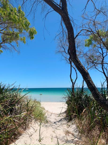 istock Path between tall trees on a serene beach in Siesta Park Beach in Busselton, Western Australia 1729516503