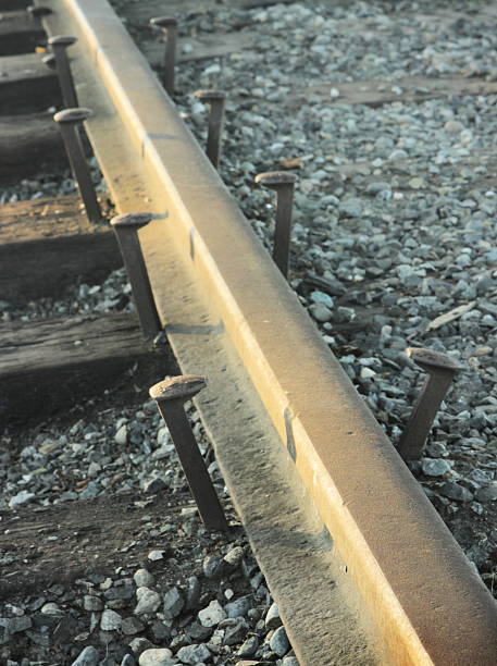 vía de tren picos suelto - railroad spikes fotografías e imágenes de stock