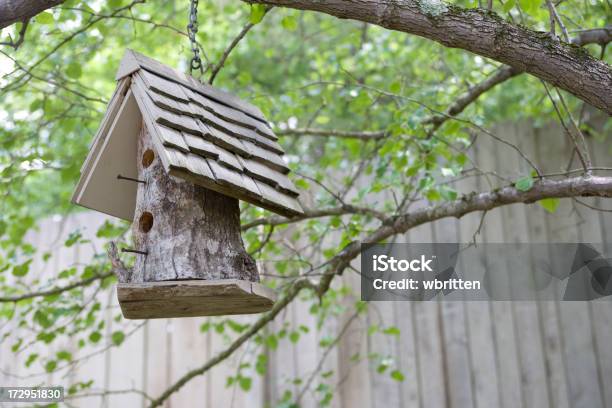 Chic Rustico Per Uccelli - Fotografie stock e altre immagini di Albero - Albero, Animale, Animale in cattività