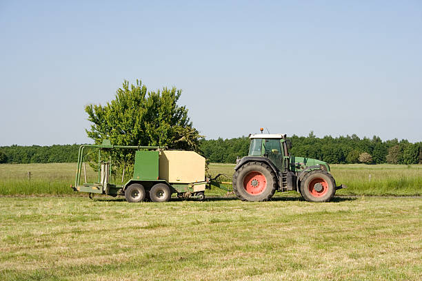 istock Pause in the harvest of hay 172951988