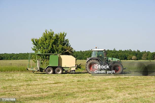 Pause In The Harvest Of Hay Stock Photo - Download Image Now - Agricultural Field, Agriculture, Grass