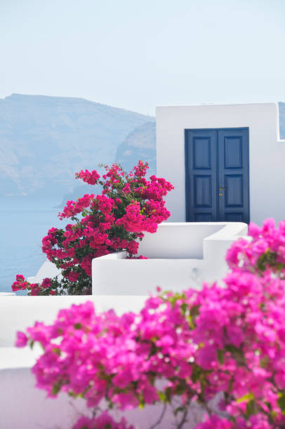 istock Door in Oia, Santorini, Greece 172952037