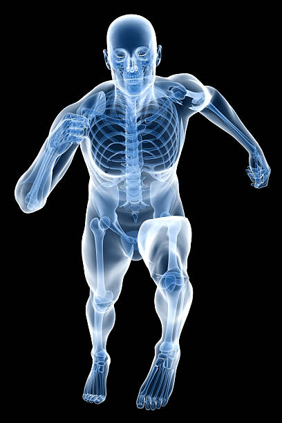 istock X-ray human body of a man with skeleton running 172952098