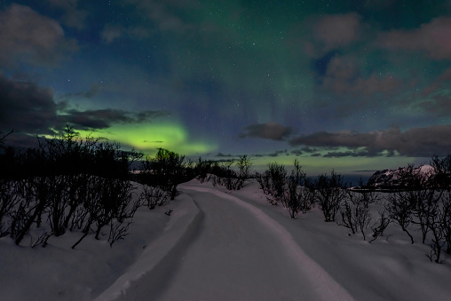 Northern Lights, polar light or Aurora Borealis in the night sky over Senja island in Northern Norway. A path is leading into the snow covered winter landscape.
