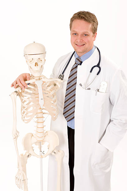 Cheerful physician with skeleton 1 stock photo
