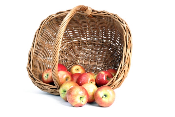 istock Basket of apples 172952723