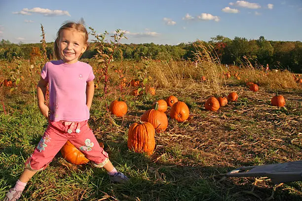 4 year old girl on a pumpkin field. Organic pumpkins on a pick-your-own-crop farm. Image taken in October.