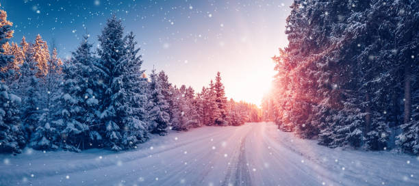 istock Beautiful winter road in natural sunny park. 1729529911