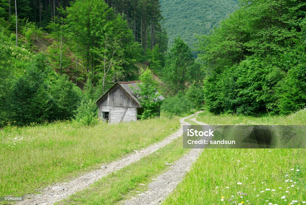 Abandonado hut - Foto de stock de Abandonado libre de derechos