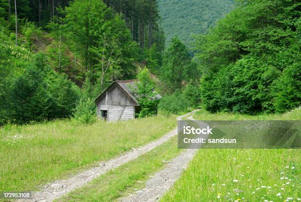 Abandonado Hut Foto de stock y más banco de imágenes de Abandonado - Abandonado, Agricultura, Aire libre