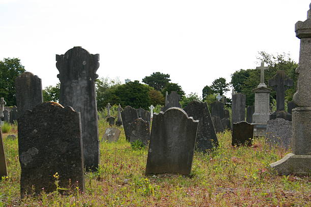 墓地でダブリン - grave cemetery celtic culture tombstone ストックフォトと画像