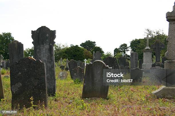 부릅니다 In Dublin 묘지에 대한 스톡 사진 및 기타 이미지 - 묘지, 오래된, 0명