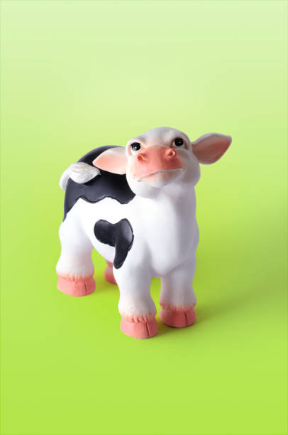 istock little milky cow looking to the sky 172953172
