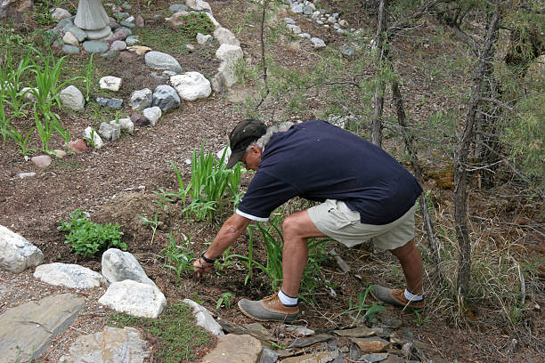 Spring Clean-Up Of The Garden  2