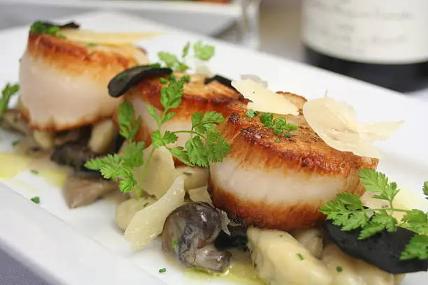 Seared sea scallops served with forest mushrooms and gnocchi.