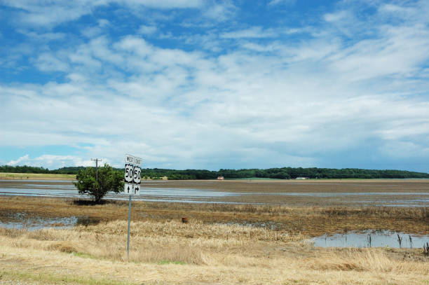 Flooded Southern Illinois Farmland