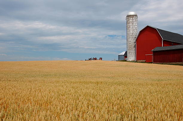 Farm with red barn and blue sky Farm in upstate New York finger lakes stock pictures, royalty-free photos & images