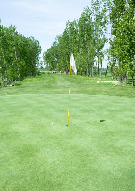 istock Golf court with ball 172954496