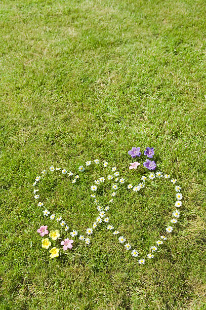 istock Two daisy hearts with wild flowers in grass 172954783
