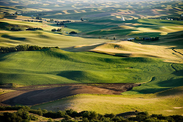 Farm Land Aerial photo of rolling farmland at sunset. rolling field stock pictures, royalty-free photos & images