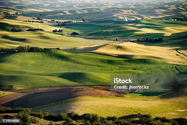 Foto de Agrícola e mais fotos de stock de Rolar - Rolar, Campo, Colina