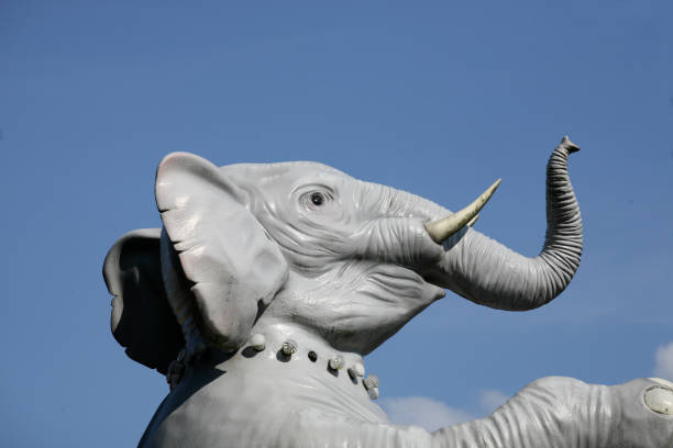 istock Elephant portrait in blue sky 172955137