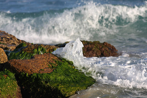 istock rock in mediterranean sea 172955267