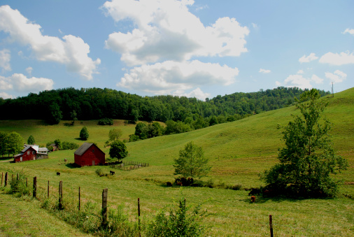 countryside scenic in west virgina with cows and barns.