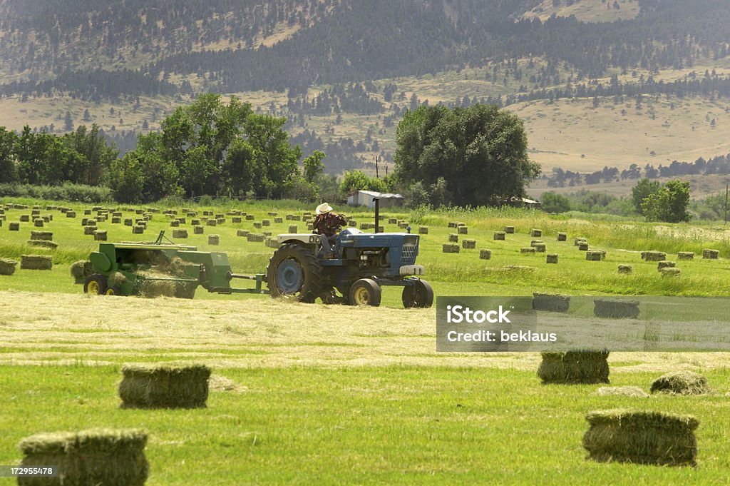 Captador de heno - Foto de stock de Agricultor libre de derechos