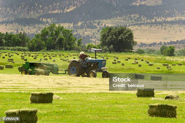 Captador De Heno Foto de stock y más banco de imágenes de Agricultor - Agricultor, Agricultura, Aire libre