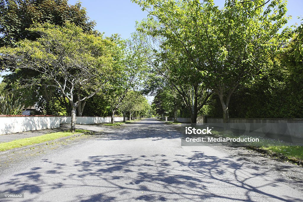 Silencioso road em Suburbano - Royalty-free Azul Foto de stock