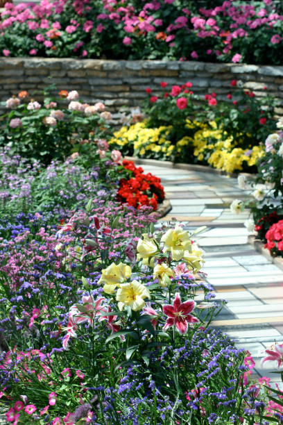 istock Morning at the Arboretum 172955572