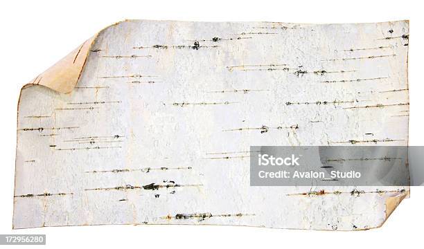 樺の樹皮のラベル - カバノキのストックフォトや画像を多数ご用意 - カバノキ, 木肌, テクスチャー効果