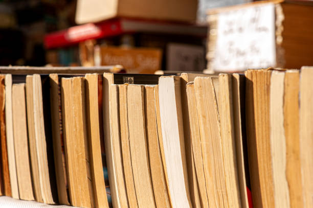 istock Vertical side of old books arranged in rows 1729563881