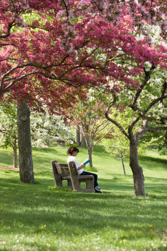 Subject: A young woman reading a book under the blossoming crab apple trees in the spring.
