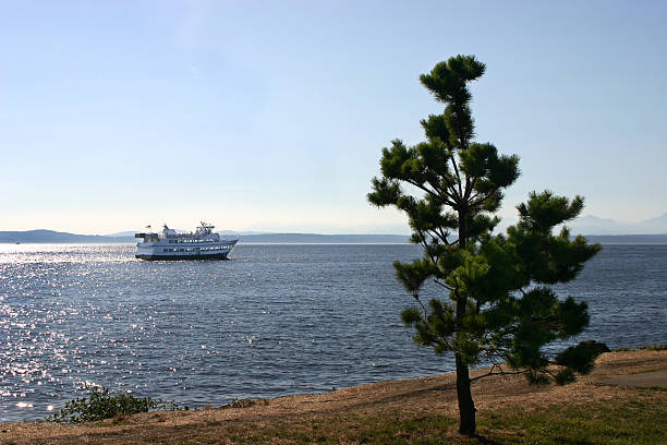 тур на лодке - ferry seattle washington state cruise ship стоковые фото и изображения