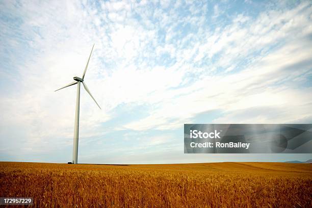 Wind Und Weizen Stockfoto und mehr Bilder von Windkraftanlage - Windkraftanlage, Feld, Weizen