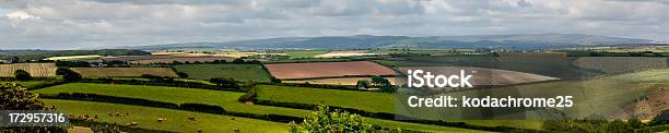 Devon Countryside Stock Photo - Download Image Now - Devon, South, Agricultural Field