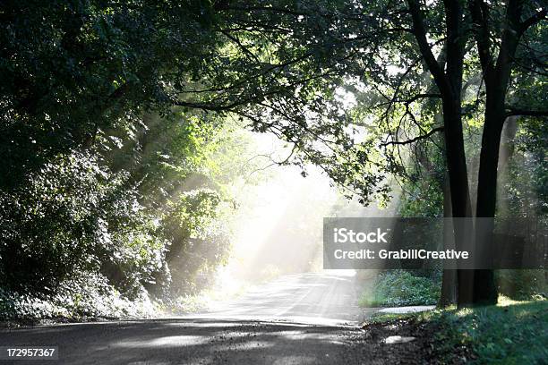 Niebos Promieniświatło Na Drodze W Lesie - zdjęcia stockowe i więcej obrazów Bez ludzi - Bez ludzi, Droga, Fotografika