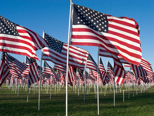 istock American Flags on Labor Day in field 172957491