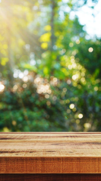 istock Wooden empty and blurred fresh nature garden bokeh background. 1729575365