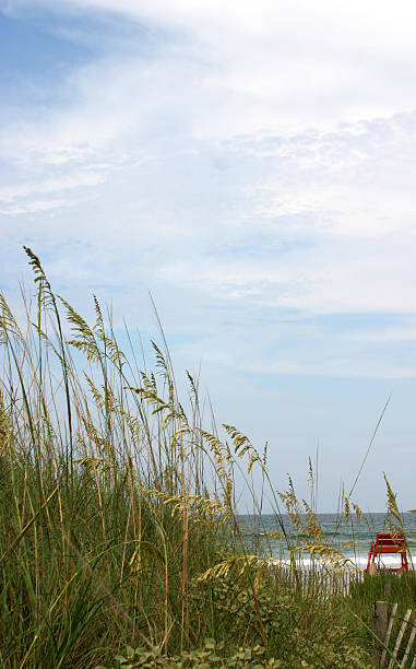istock Florida Beach And Life Guard Chair 172957542