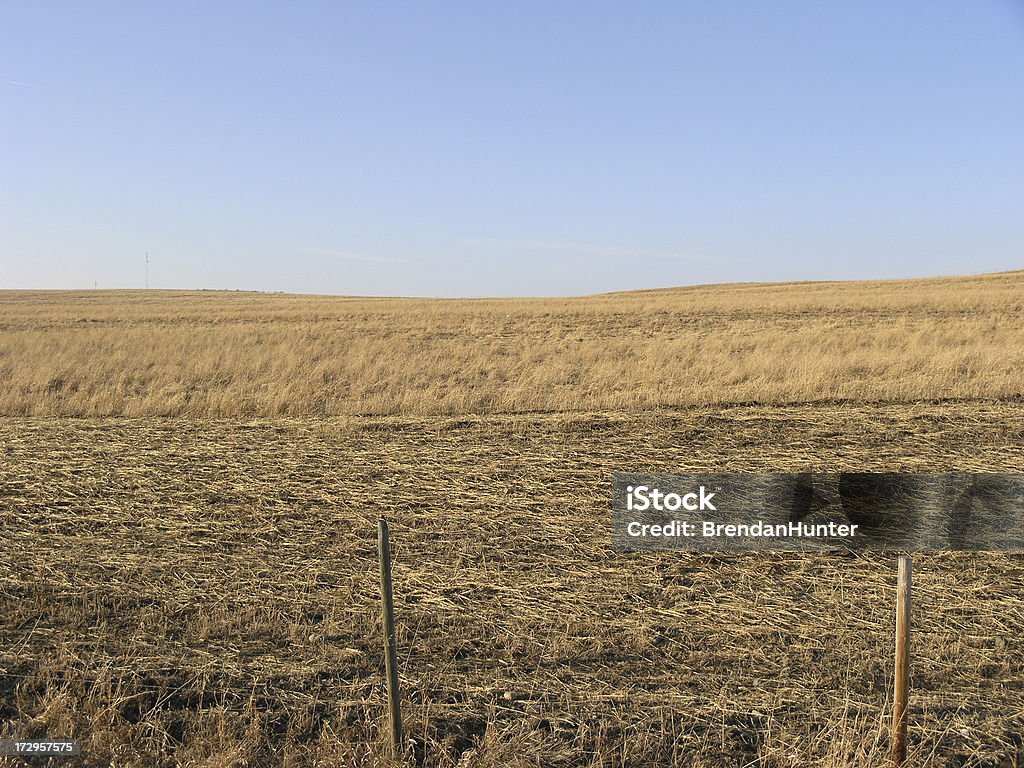 Золотой сельского хозяйс�тва - Стоковые фото Rangeland роялти-фри