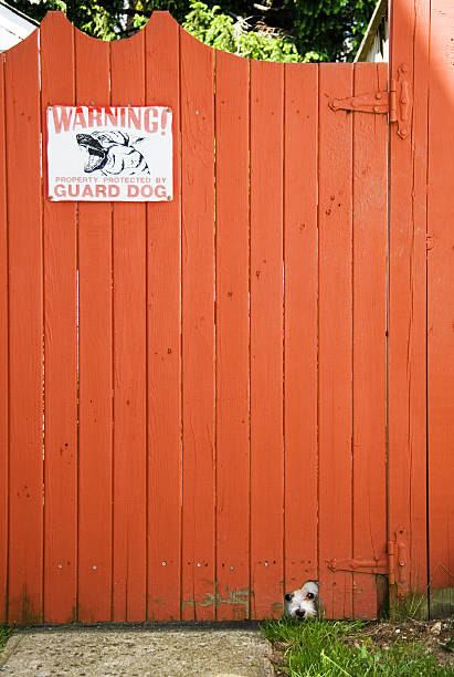 36 Funny Beware Of Dog Signs Stock Photos, Pictures & Royalty-Free Images -  iStock