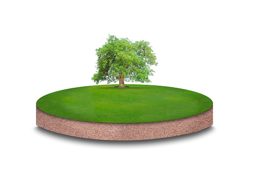 Green area with growing tree isolated on white background.