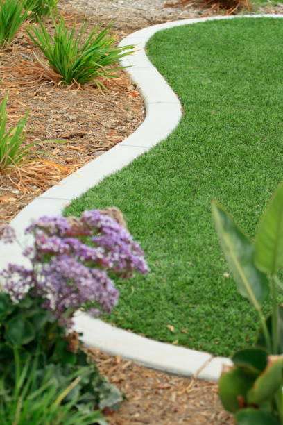 istock Synthetic Lawn--Shallow DOF 172957843
