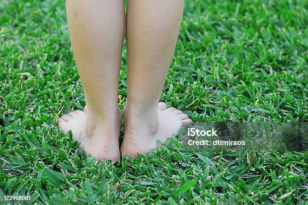 Grassy Pé Atrás De - Fotografias de stock e mais imagens de Agricultura - Agricultura, Ao Ar Livre, Autoconfiança